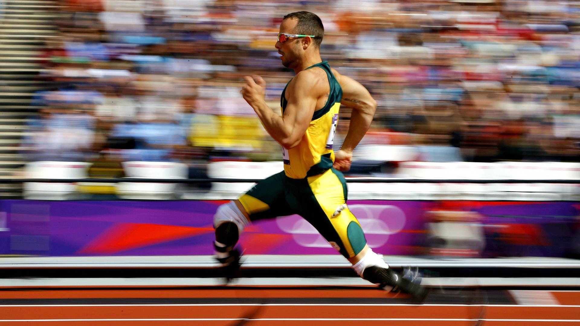 开云esports-“马丁·高尔西引领美洲狮队防守革命，全面崛起”